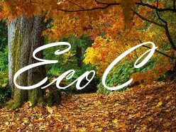 SUPERVISIONE di EcoCounseling